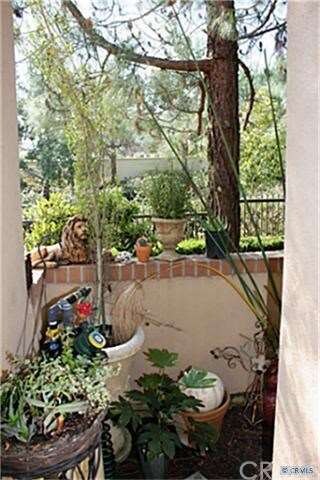 Small side garden @ entry