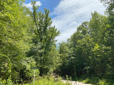 0 Mill Creek Rd unit 7001759, Huntington, TX 75949 - photo 6