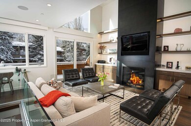 1018 E Hyman Ave unit 1, Aspen, CO 81611 - photo 2