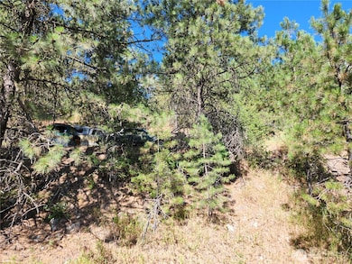 0 Lot 1 Klondike Rd, Republic, WA 99166 - photo 2