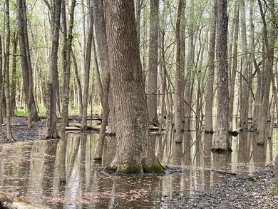 IMG_9898