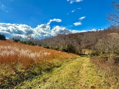 1520 Brittontown Rd, Afton, TN 37616 - photo 7