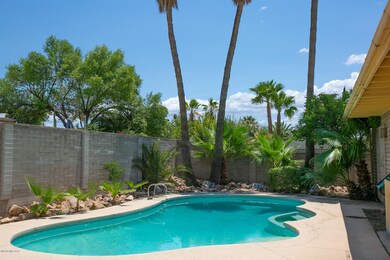 Lovely pool area