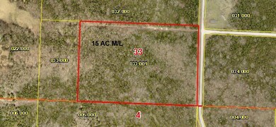 745 Hendrickson School Rd, Williams Township, MO 65747 - photo 3