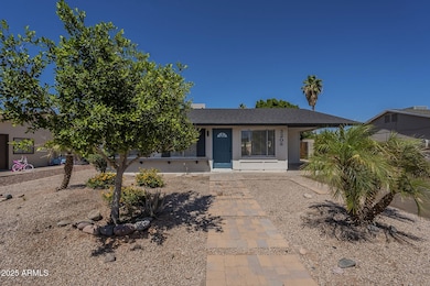 Front Yard