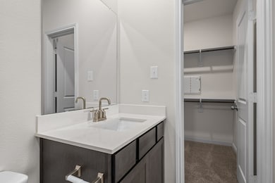 Half bathroom featuring vanity, a spacious closet, a textured wall, and dark carpet