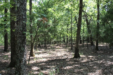 Lot 41-3