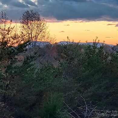 191 Red Rock Ln, Mill Spring, NC 28756 - photo 6