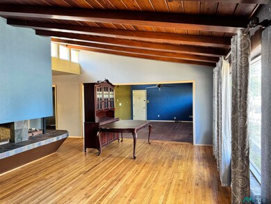 1009 E Riverside Dr, Carlsbad, NM 88220 - photo 7