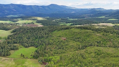 25XX Burgess Rd unit Parcel A, Addy, WA 99101 - photo 7