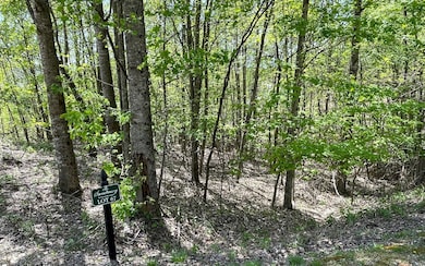 Additional View