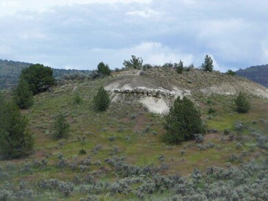 0 Colony Ln, Monument, OR 97864 - photo 4