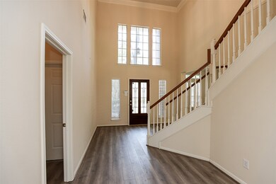 18 Belcarra Place, Spring, TX 77382 - photo 4