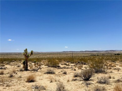 64100 Sullivan Rd, Joshua Tree, CA 92252 - photo 6