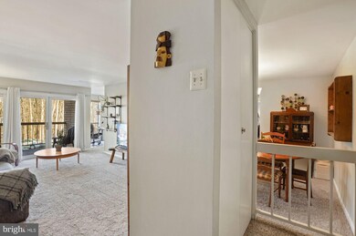 Chestnut Grove Condominiums unit 155, Reston, VA 20190 - photo 3