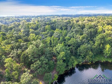 Lot 42 Katie Ln unit Katie Lane, Gilmer, TX 75644 - photo 2