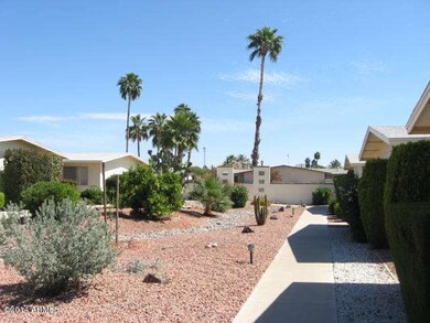 LOOKING OUT FRONT INTO YOUR OASIS