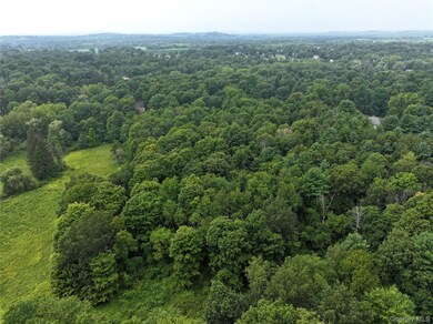 TBD Deer Run, Red Hook, NY 12571 - photo 6