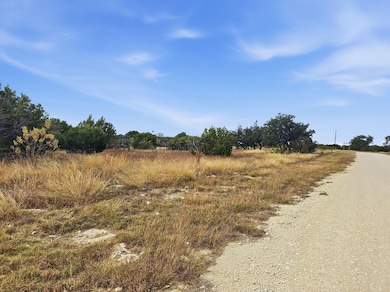 Lot 25 & 26 Ph 4 Private Road 4212, Evant, TX 76525 - photo 3