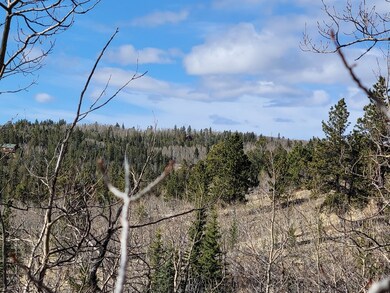 187 Rhea Rd, Como, CO 80432 - photo 2