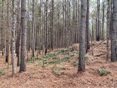 TBD Cr 411, Oxford, MS 38655 - photo 3