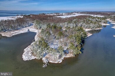 3779 Eastern Neck Rd, Rock Hall, MD 21661 - photo 7