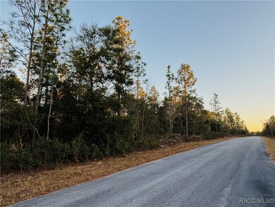 TBD SW Sea Cliff Ave, Dunnellon, FL 34431 - photo 3