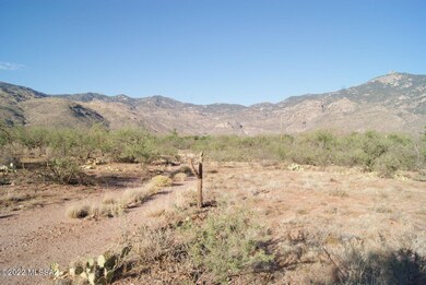 Rincon Mtns