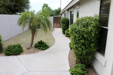 IMG_1026