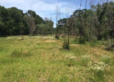 2907 River Rd, Johns Island, SC 29455 - photo 5