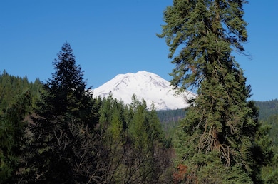 4141 Dunsmuir Ave, Dunsmuir, CA 96025 - photo 2