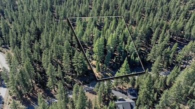 12062 Saddleback Dr, Truckee, CA 96161 - photo 2