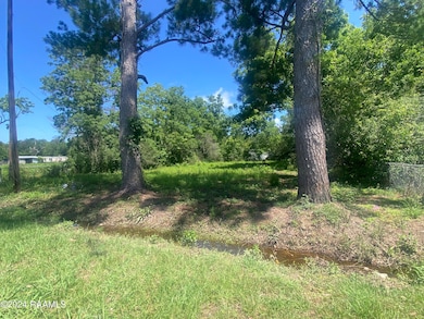 1850 Gum St, Basile, LA 70515 - photo 3