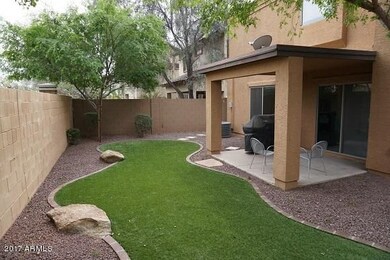75 BackYard1