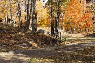 1910 Longwood Point Rd NE, Outing, MN 56662 - photo 7