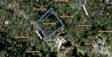 TBD Tellico Trail unit 42/22, Brevard, NC 28712 - photo 2