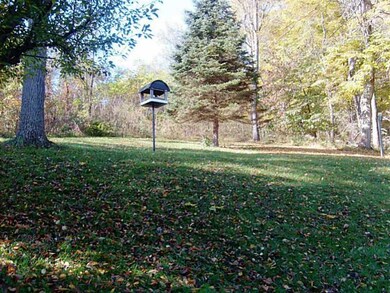 Yard/Garden.