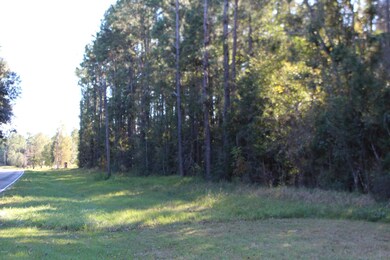 3.9 Basin-Central Rd, Lucedale, MS 39452 - photo 2