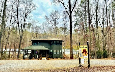 2.5AC Loy St, Ellijay, GA 30540 - photo 6