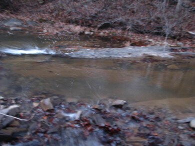 Broad Run 011