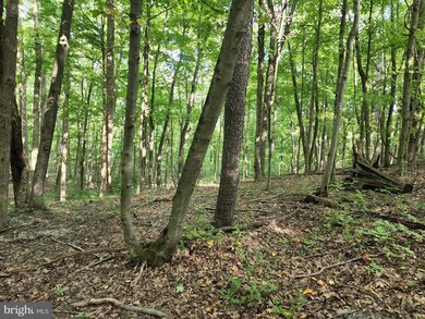 0 Dogwood Ln unit WVMO2002192, Berkeley Springs, WV 25411 - photo 3