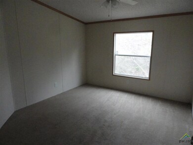 10304 County Road 21, Tyler, TX 75707 - photo 5