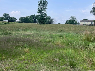 0 Blossom Loop, Clinton, AR 72031 - photo 3