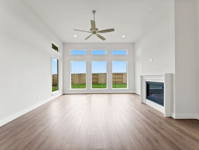 16266 Blue Mistflower Ln, Hockley, TX 77447 - photo 6