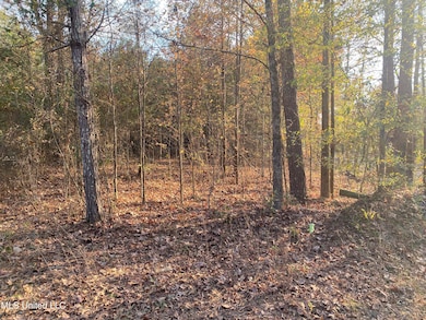 0 Massey Rd, Kosciusko, MS 39090 - photo 2