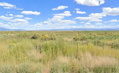 Blanca, Lasauses, CO 81151 - photo 4