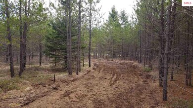 NKA Honeysuckle Rd, Athol, ID 83801 - photo 3