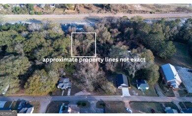 0 Baptist Dr unit 10650608, Hogansville, GA 30230 - photo 6