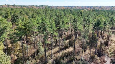 0 Sanderlin Rd unit 25637126, Wilmar, AR 71675 - photo 7