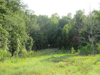 0 County Line Rd, Lumpkin, GA 31815 - photo 5